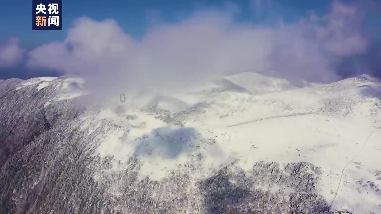 扇贝是开锅煮还是凉水下锅讨论社区-热门话题尽在扇贝是开锅煮还是凉水下锅红迪网